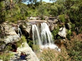 Maddens Falls lookout, Dharawal National Park. Photo: John Yurasek © OEH