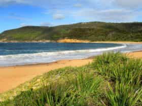 Looking along the beach to the headland. Photo: John Yurasek
