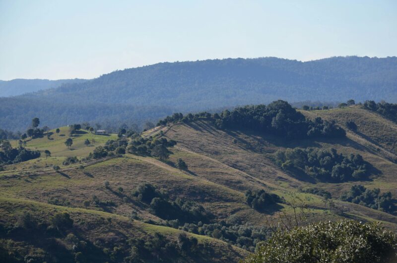 Mallanganee Lookout