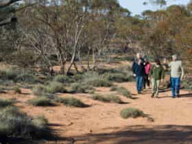 Mallee Stop walking track