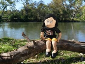 A Wiradjuri puppet wearing a Wiradjuri language shirt sitting on a log by a river