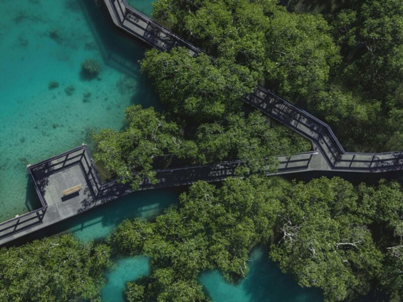 Drone image of Mangrove Board walk Huskisson