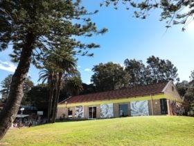 Manly Art Gallery