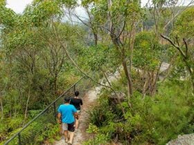 Mannings lookout, Morton National Park. Photo: John Yurasek © DPIE