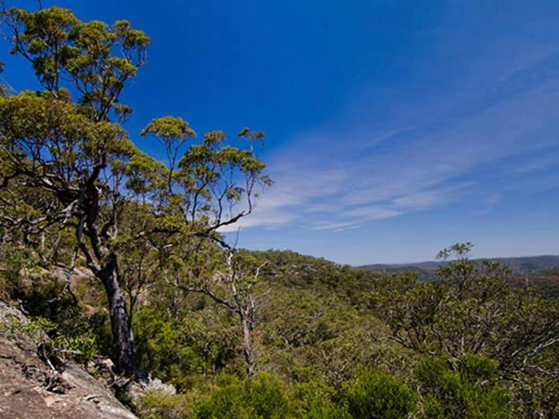 Marramarra National Park. Photo: John Spencer/NSW Government
