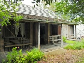 Pioneer Cottage from the garden