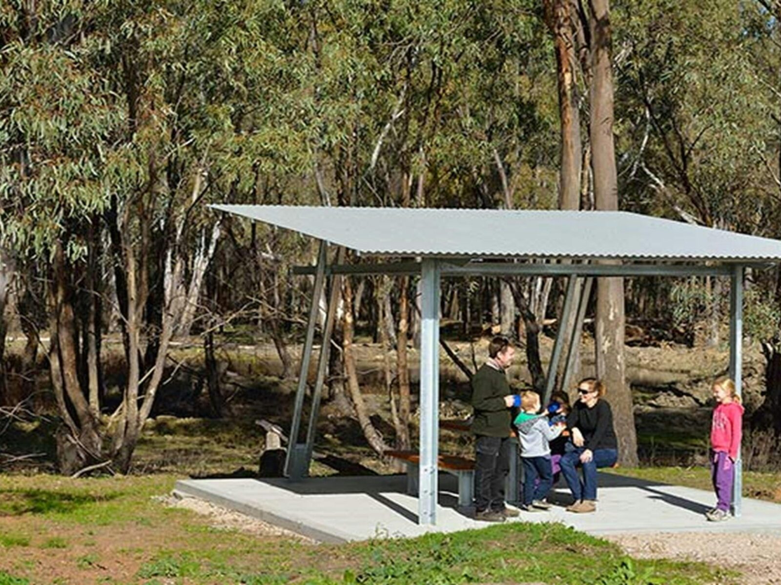 McCaugheys Lagoon, Murrumbidgee Valley National Park. Photo: Gavin Hansford © OEH