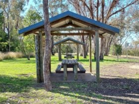 Two picnic table shelters with gum trees behind them.