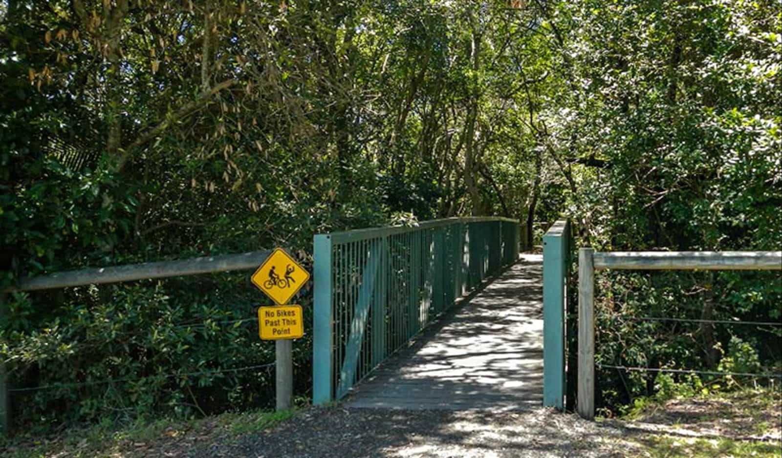 Diamond Head loop track, Crowdy Bay National Park. Photo: Debby McGerty/NSW Government