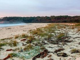 Sunrise at Termeil Beach, Meroo National Park. Credit: Michael Van Ewijk © DCCEEW