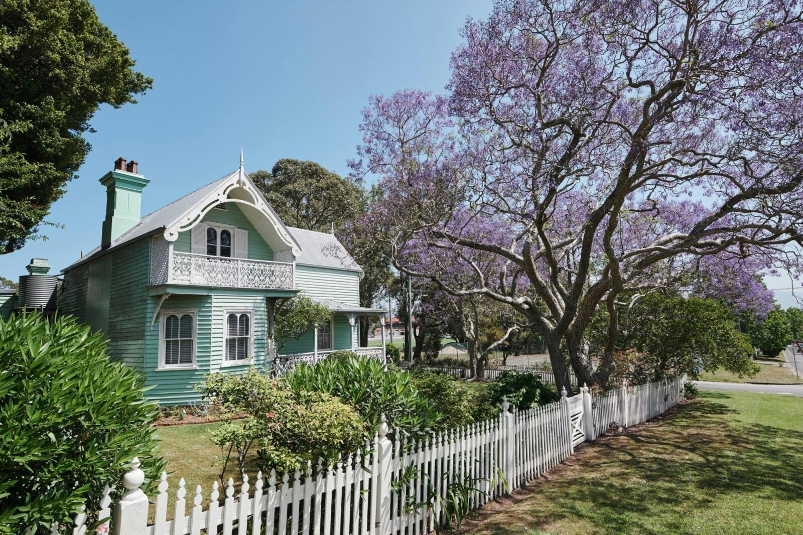 Exterior shot of historic house with jacarandas in bloom