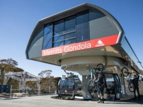 Merritts Gondola