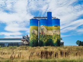 Merriwa Silos