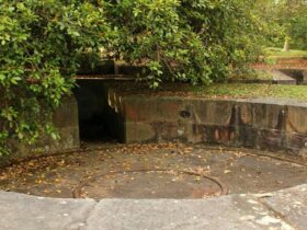 Military Relics at Bradleys Head. Photo: John Yurasek © OEH