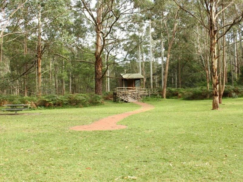 Mill Creek picnic area, Dharug National Park. Photo: John Yurasek © OEH
