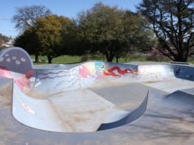 Skate Park