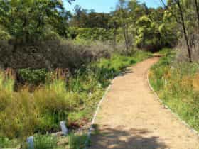 Looking along the cemetery walk. Photo: John Yurasek