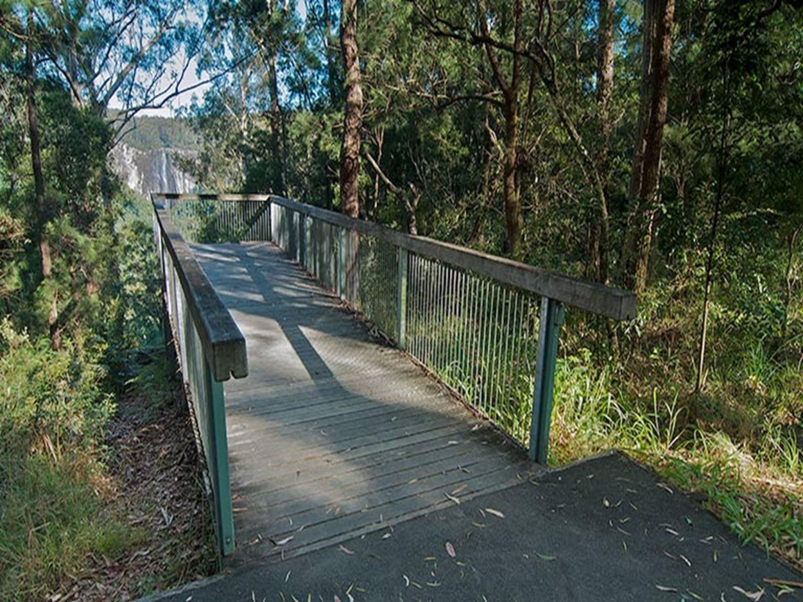 Minyon Grass picnic area, Nightcap National Park. Photo: Brian McLachlan © DPIE