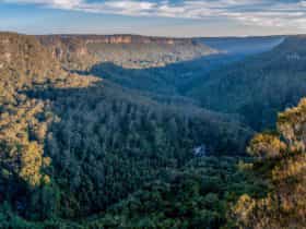 Missingham lookout track, Budderoo National Park. Photo: Michael Van Ewijk