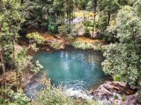 Mobong Creek waterhole in Wild Cattle Creek State Forest