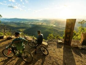 Bicycle riders looking out over a valley from a mountain trail