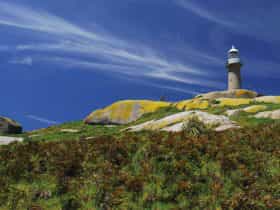 Montague Lighthouse. Photo:Stuart Cohen