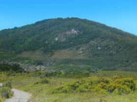 Monument Hill walking track, Arakoon National Park. Photo: Debby McGerty