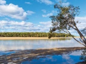 Moonee Creek in Moonee Beach Nature Reserve. Photo: Rob Cleary © OEH