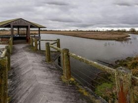 Mother of Ducks Lagoon Nature Reserve birdwatching platform, Mother of Ducks Lagoon Nature Reserve.