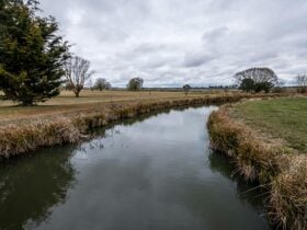 Lagoon shores, Mother of Ducks Lagoon Nature Reserve. Photo: John Spencer © DPIE