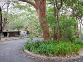 Mount Bouddi (Dingeldei) picnic area, Bouddi National Park. Photo: Nick Cubbin © OEH
