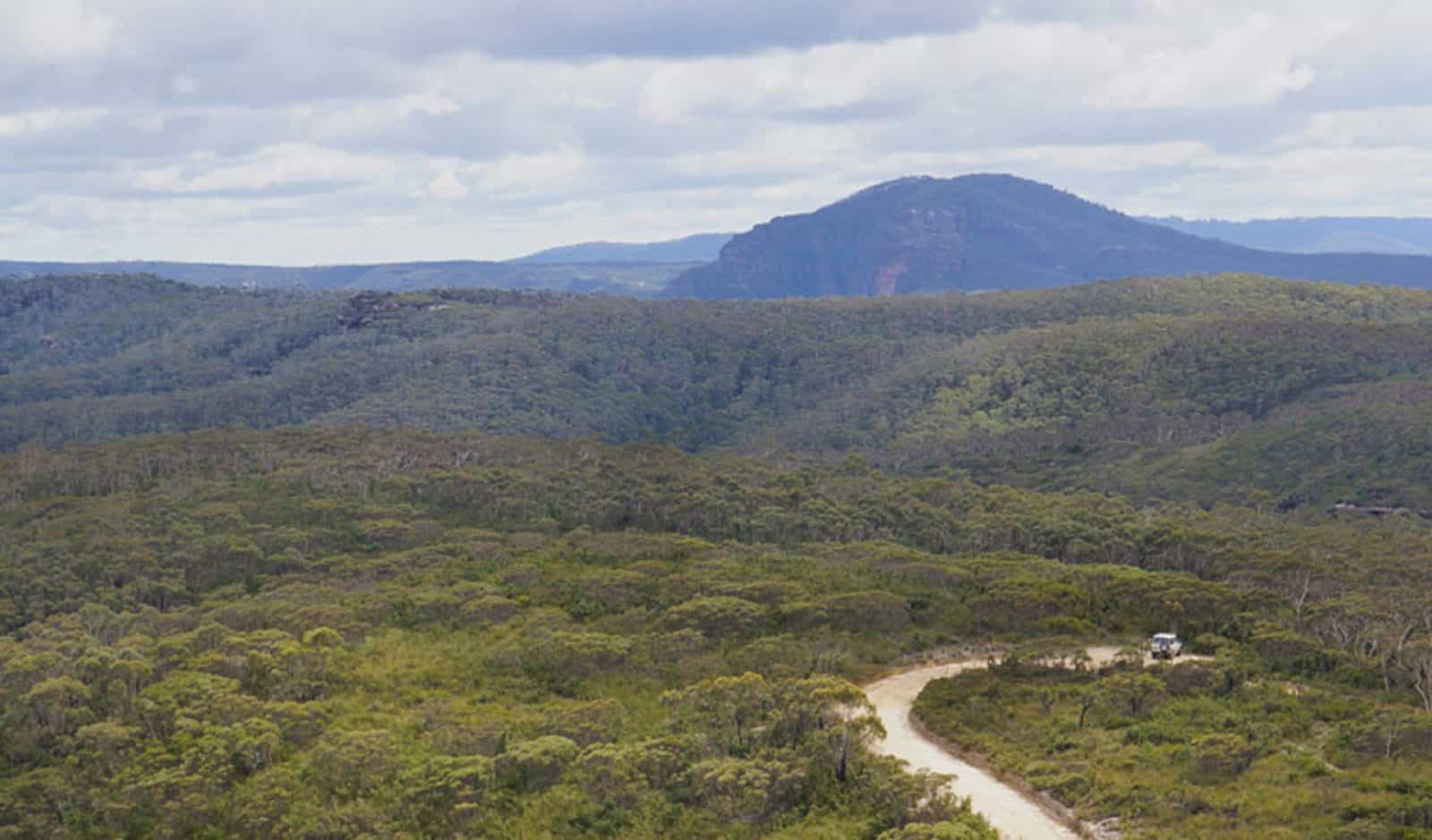 Mt Hay