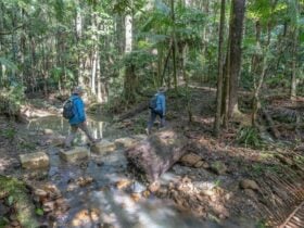 2 bushwalkers on Unicorn Falls walking track. Credit: John Spencer © DPE