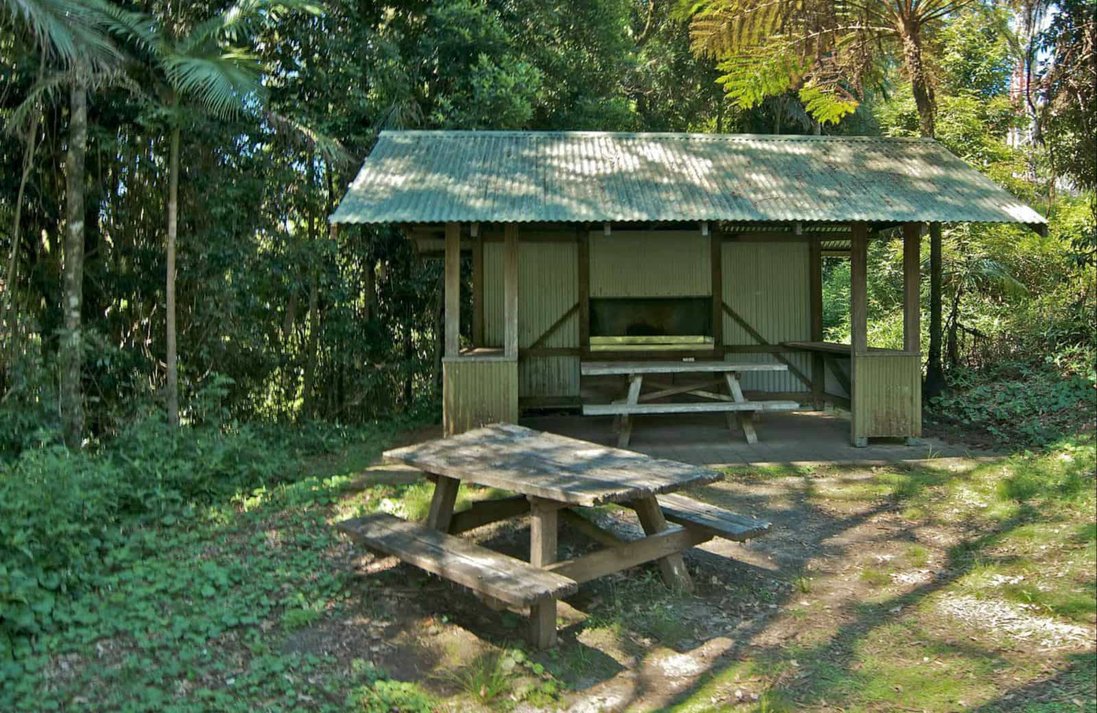 Mount Nardi picnic area, Nightcap National Park. Photo: John Spencer
