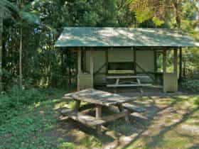 Mount Nardi picnic area, Nightcap National Park. Photo: John Spencer