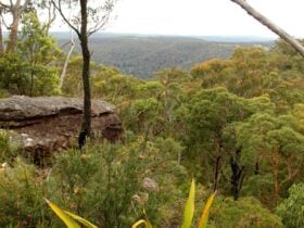 View from Mount Olive lookout. Photo: John Yurasek © DPIE