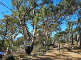 A sign shows the entrance to the mountain bike trails at Mt Gladstone, Cooma , NSW