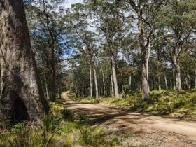 Mummel Gulf National Park. Photo: John Spencer/NSW Government