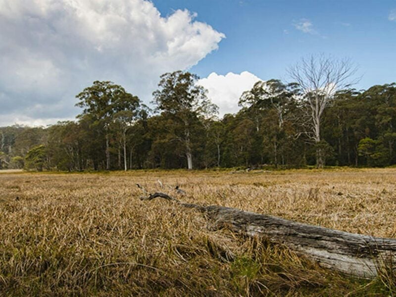 Mummel Gulf National Park. Photo: John Spencer/NSW Government