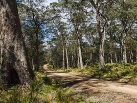 Mummel Gulf National Park. Photo: John Spencer/NSW Government