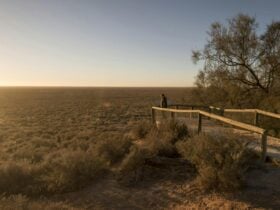 Mungo lookout, Mungo National Park. Photo: John Spencer