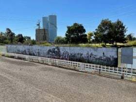 Mural at Yenda Centenary Park