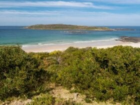 Murramarang Aboriginal Area. Photo: Lucas Boyd © DPIE