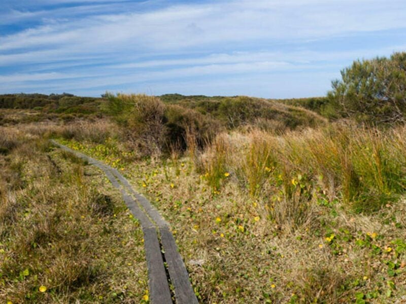 Murramarang Aboriginal Area. Photo: Lucas Boyd © DPIE