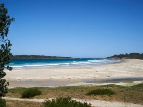 Photo of Murramarang Beach