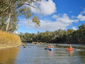 2 people kayaking on the Murrumbidgee River. Credit: Gavin Hansford © DPE