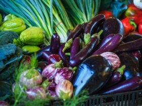 Fresh seasonal local produce is always in abundance at Murwillumbah Farmers' Market