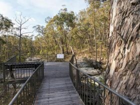 Myanba Gorge lookout, South East Forest National Park. Photo credit: John Spencer © DPIE