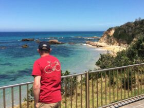 A male tourist enjoys beach and ocean views at Mystery Bay lookout, near Narooma in Eurobodalla