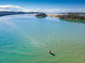 kayaking nambucca river